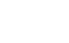 German Design Award