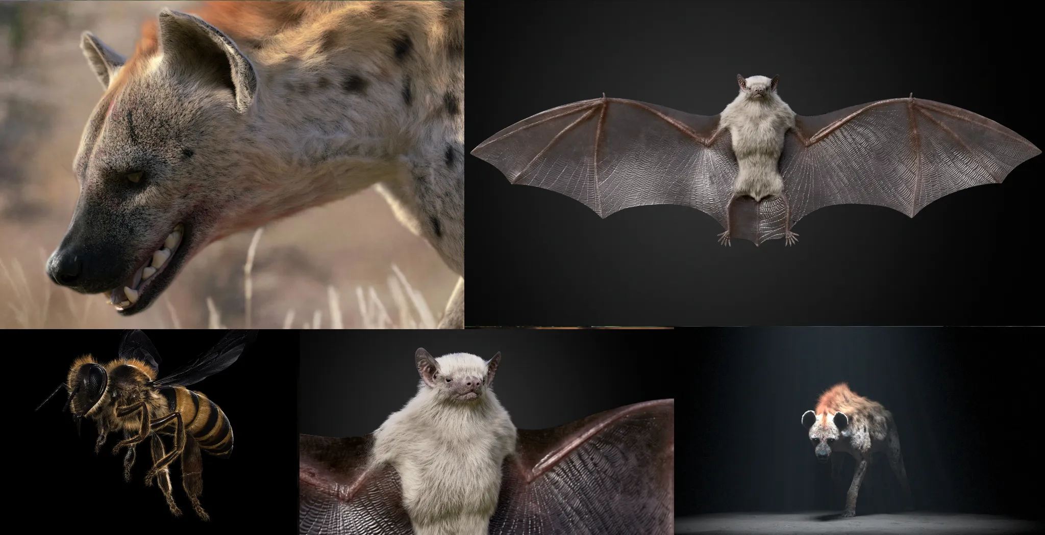 Shaka iLembe — VFX Shot